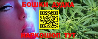 прущие крисы Бийск